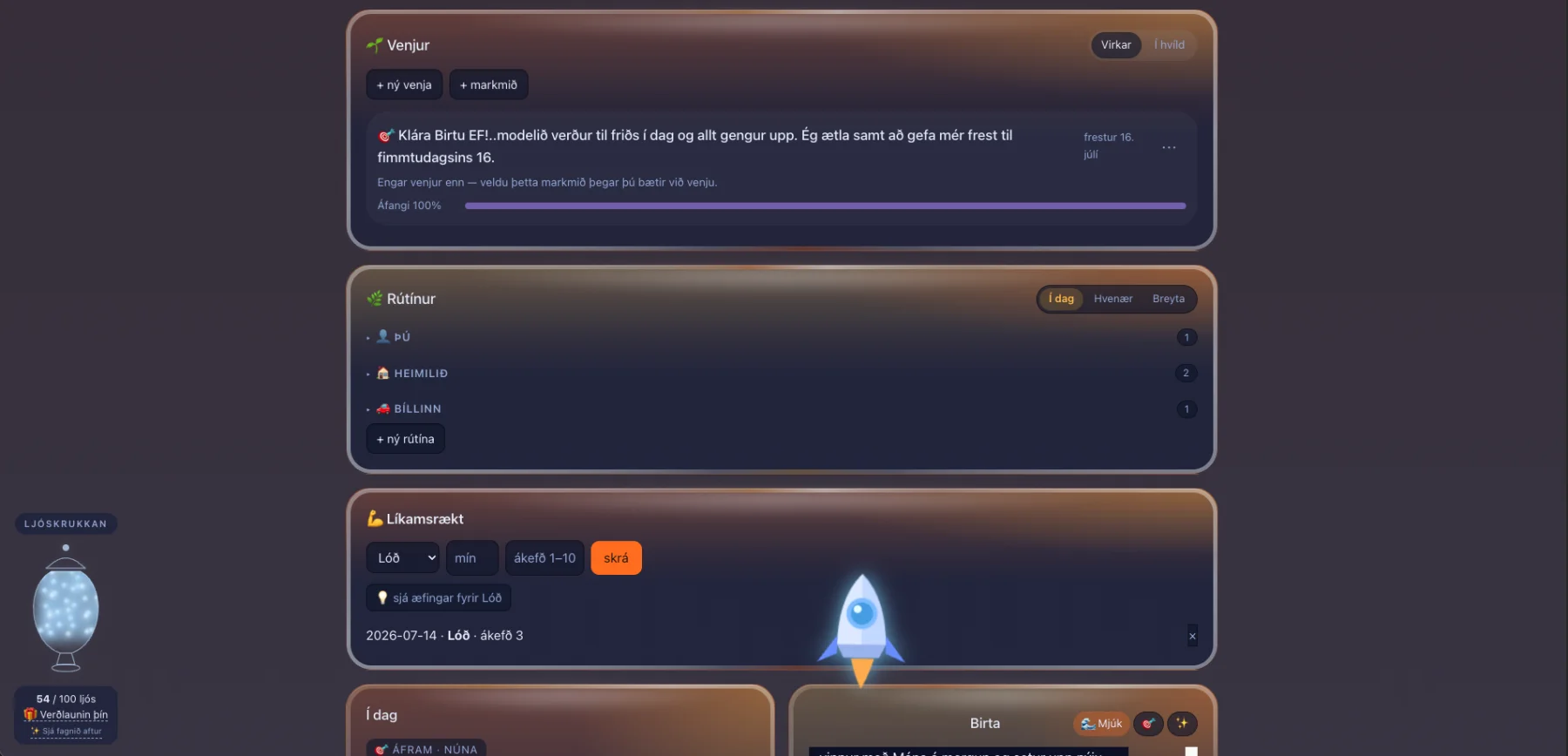 Birta Coach web screenshot 13