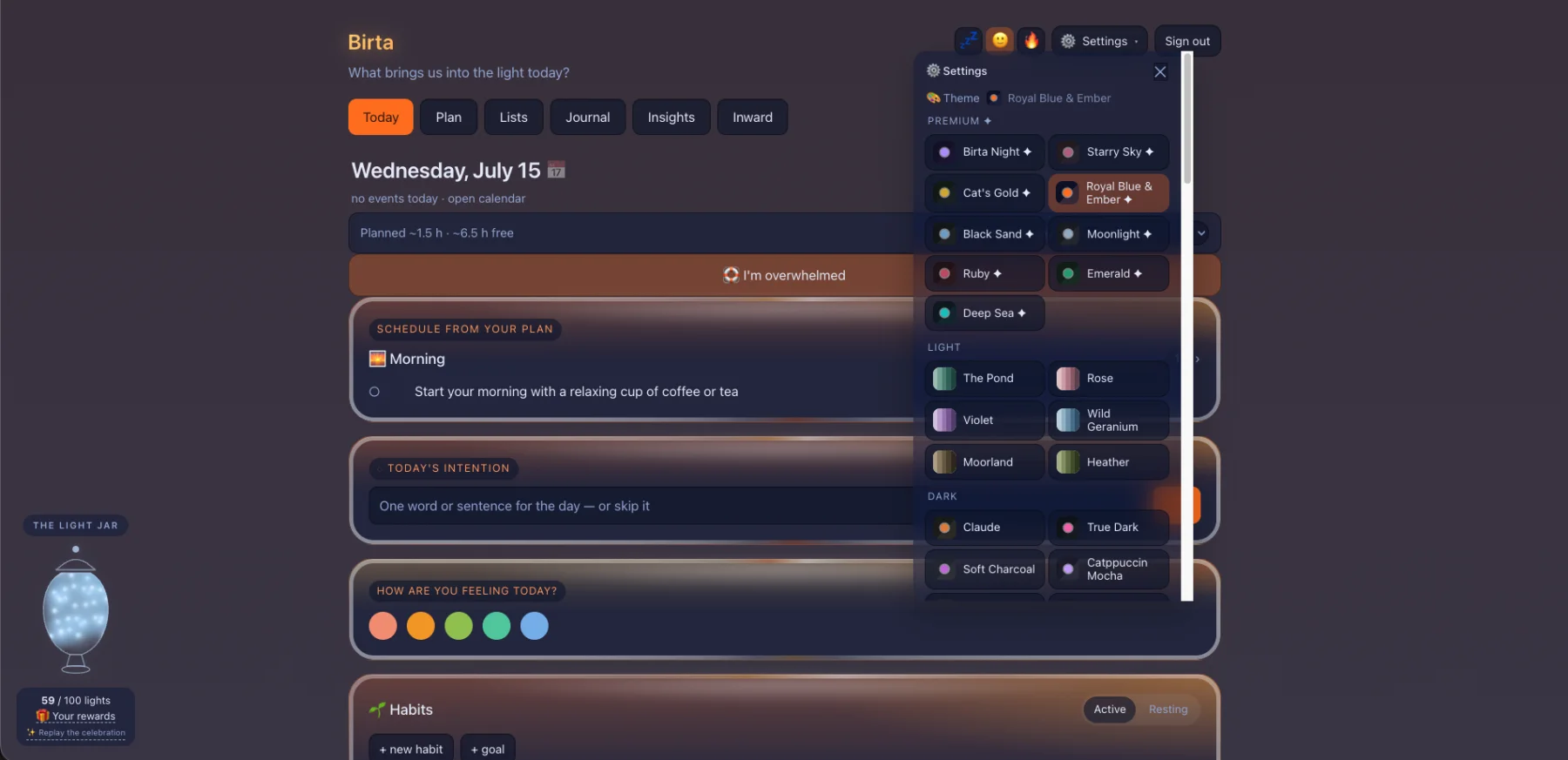 Birta Coach web screenshot 14