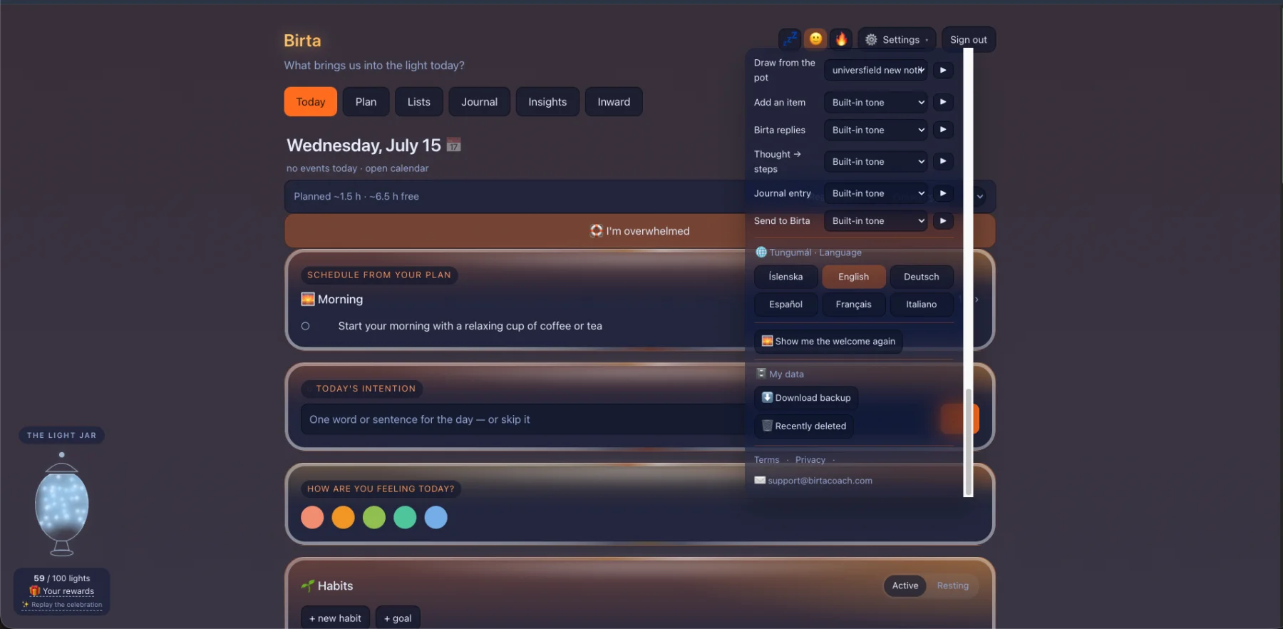 Birta Coach web screenshot 15