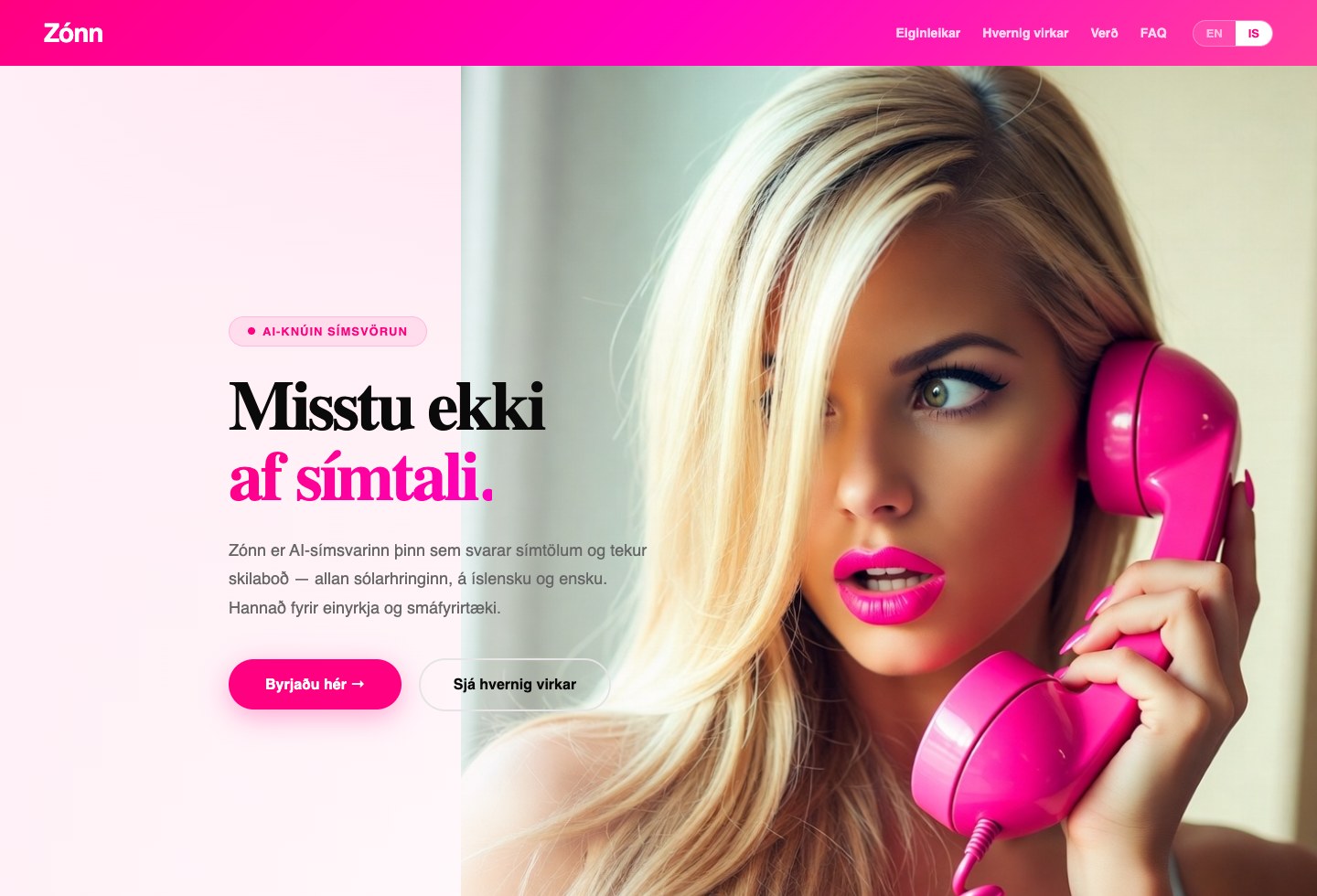 Desktop view of the Zónn website